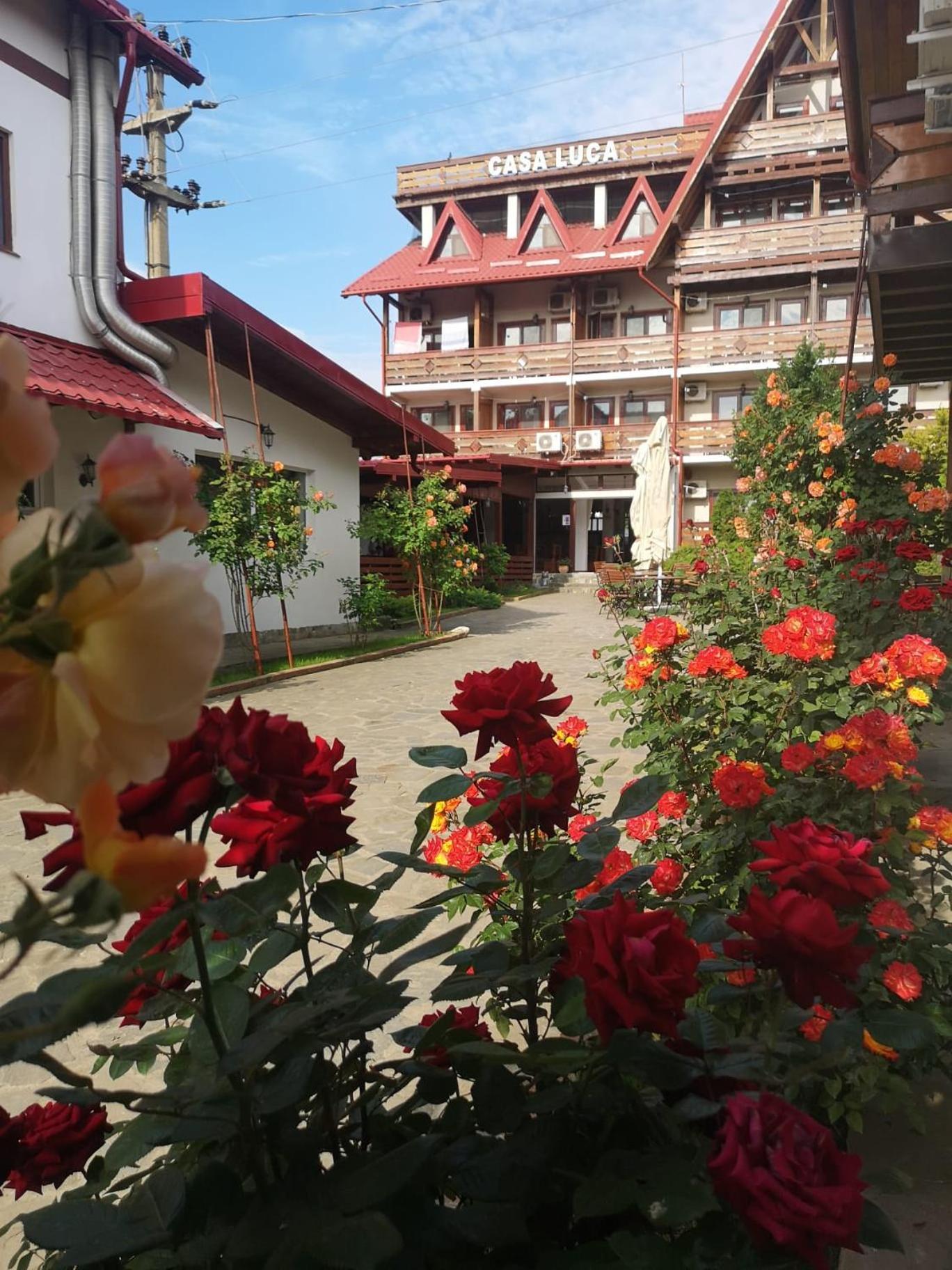 Casa Luca Hotel Вама Веке Екстериор снимка